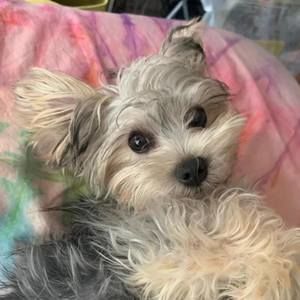 Meet your Posher, Caroline